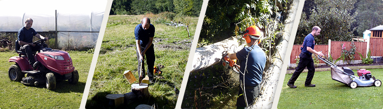 Tree surgeon in cheshire, north wales and the wirral